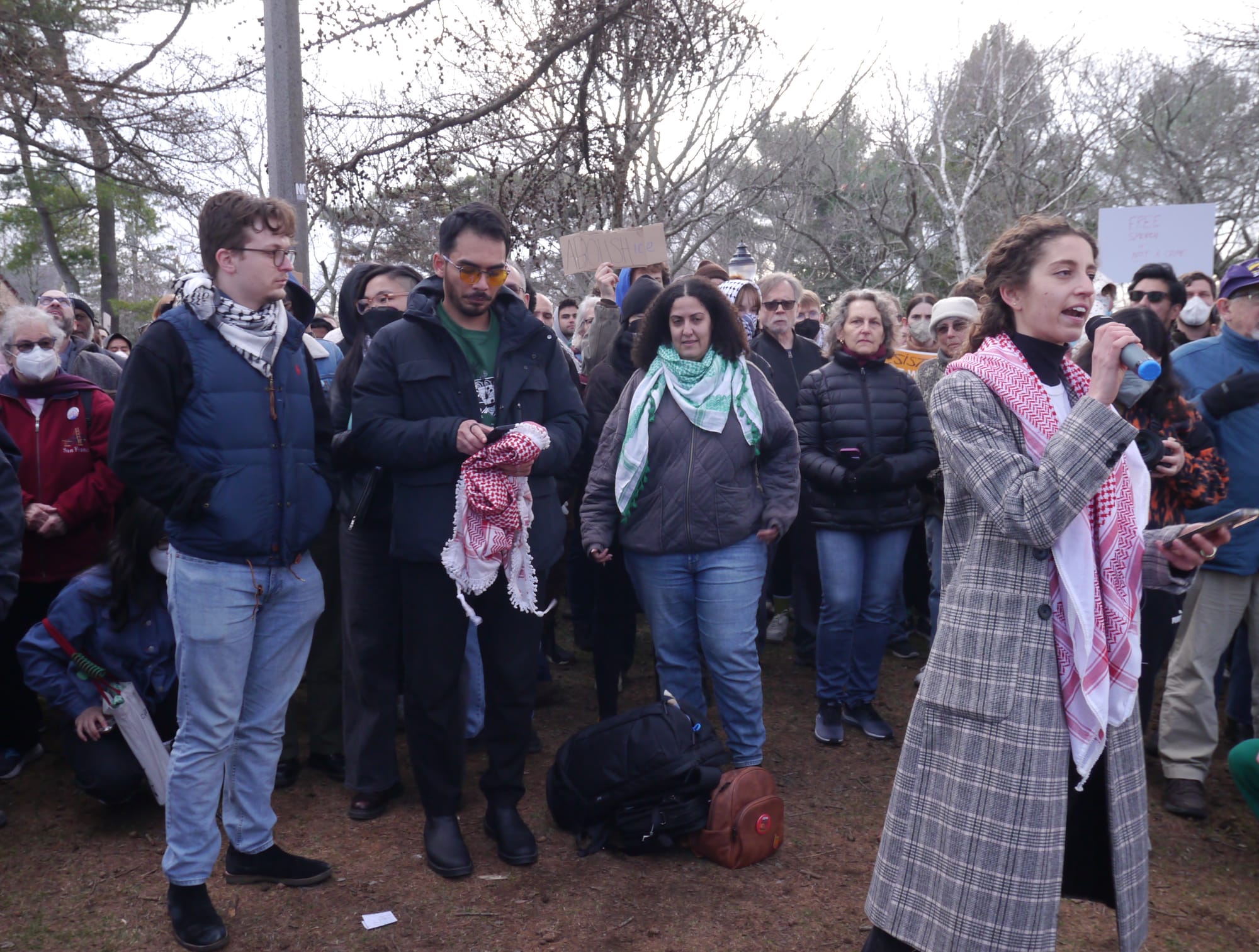 Lea Kayali of the Palestinian Youth Movement addresses demonstrators at Nathan Tufts Park Wednesday evening.