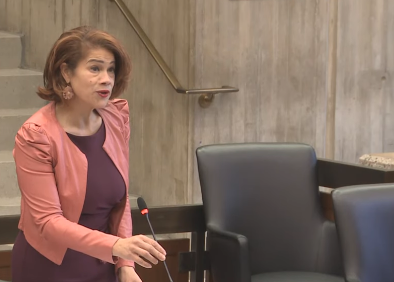 City Councilor Julia Mejia speaks at a microphone in the Ianella Council chamber.