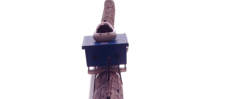 A Boston Police Department surveillance camera mounted on a telephone pole. 