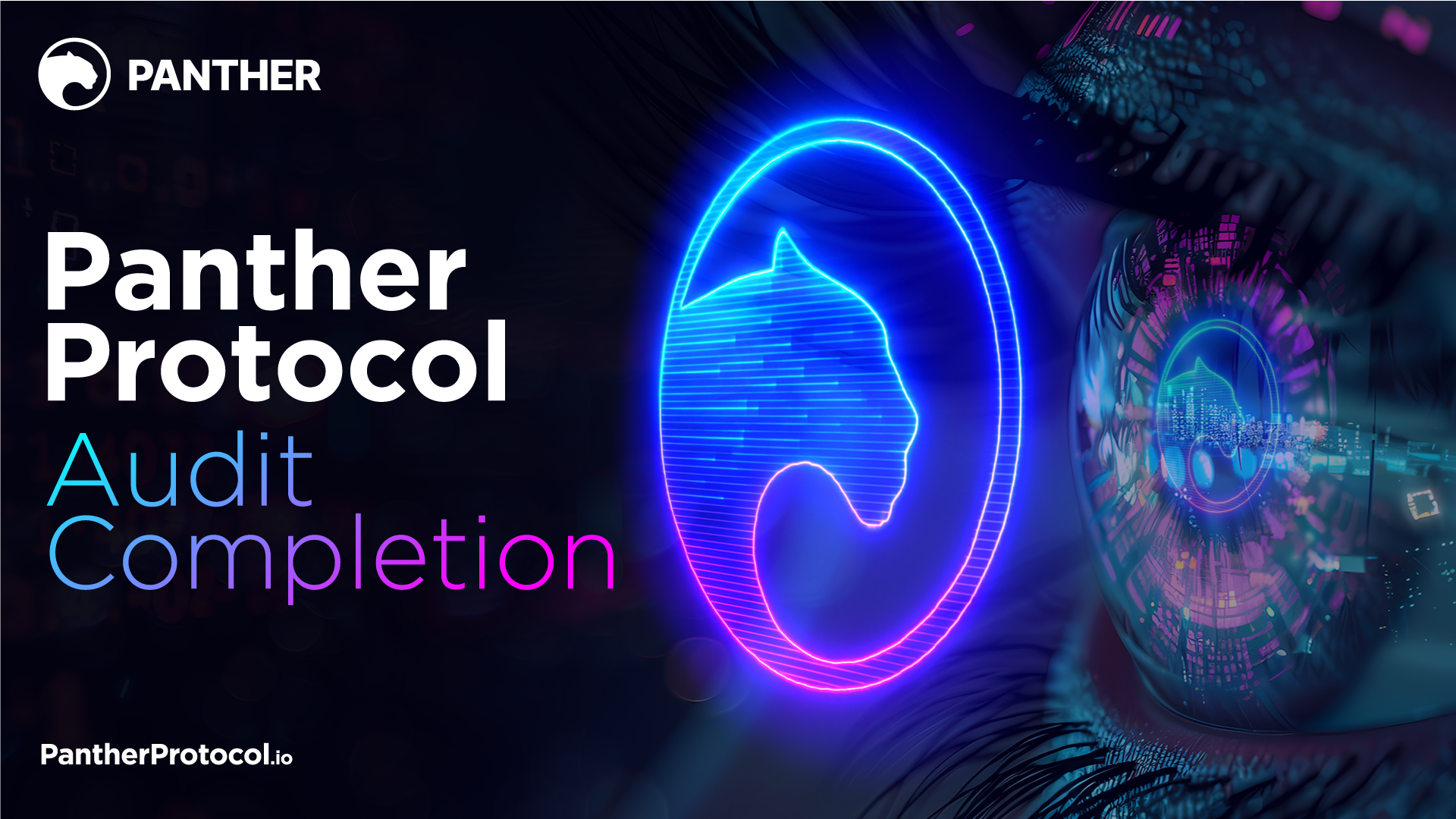 Successful Veridise Audit Completion