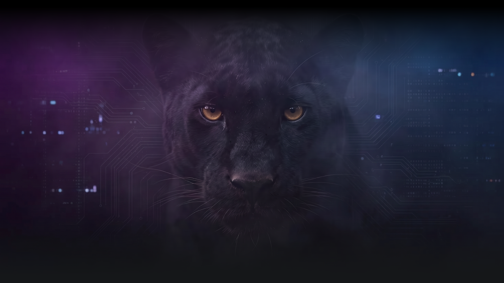 Blog | Panther Protocol