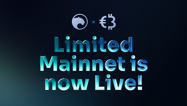 Panther Building Momentum: Introducing the Panther Limited Mainnet Beta
