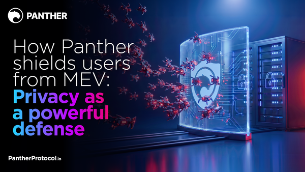 How Panther Protocol Shields Users from MEV: Privacy as a Powerful Defense