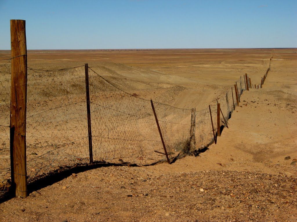 My Thoughts: Android App Development