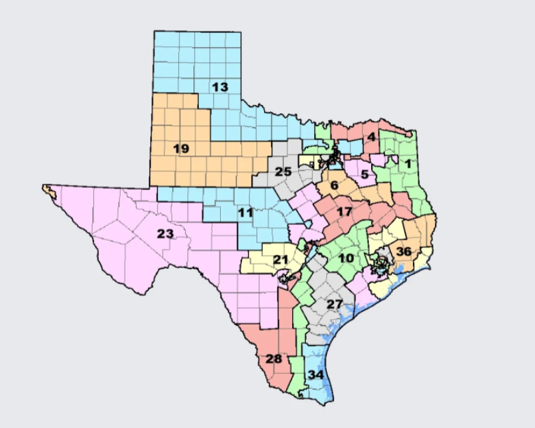 The Dummymander: A Manifestation of Bad Faith Politics