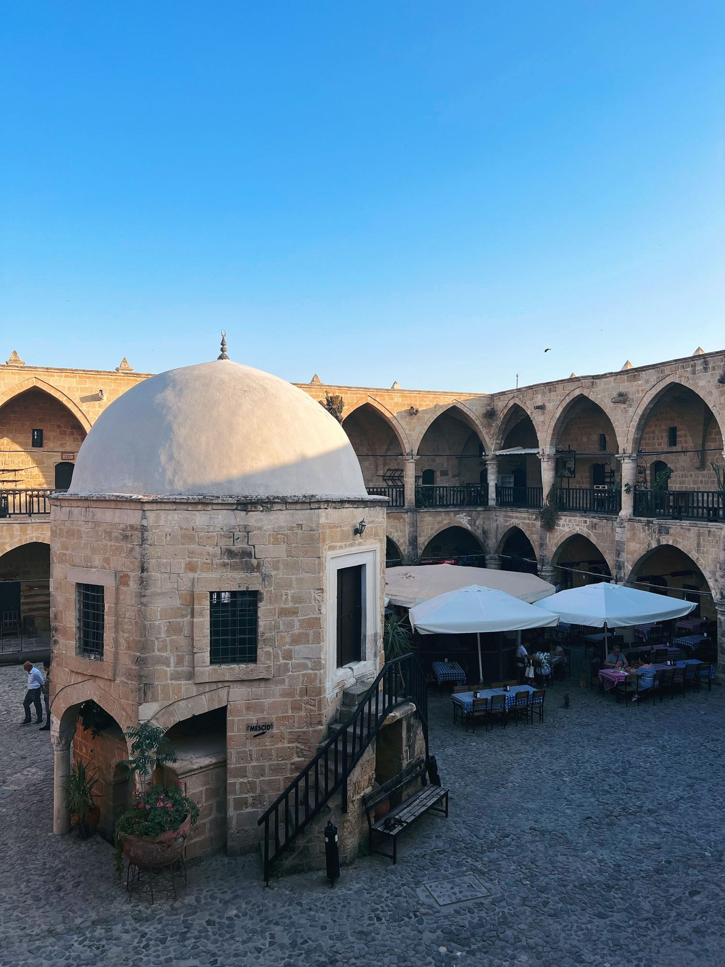 Fish Mousse and Marshmallows