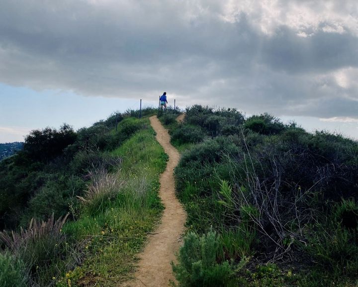 Videos of yourself contain a different truth