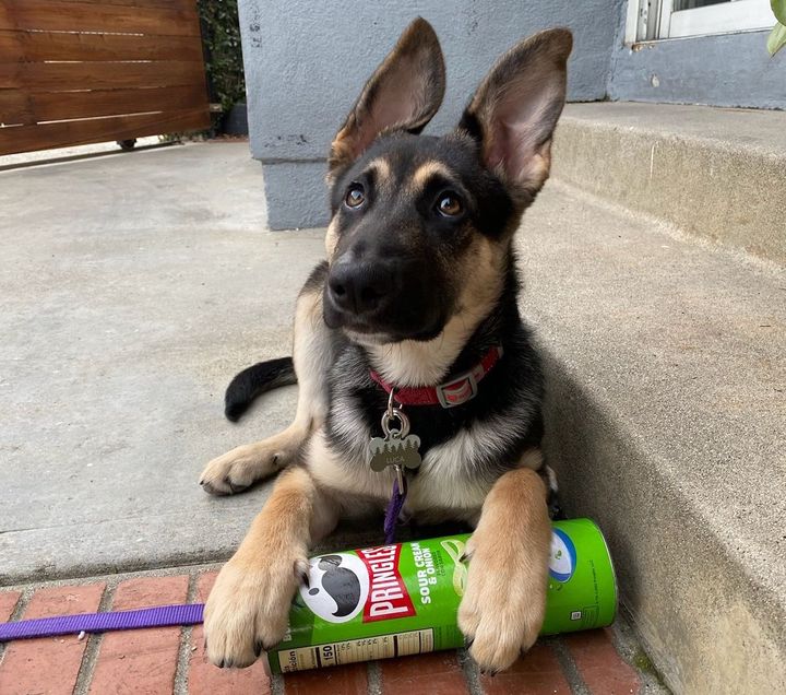 Run Medium, Squat Also Medium