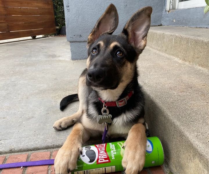 Interruptions (Weeks 5-7)