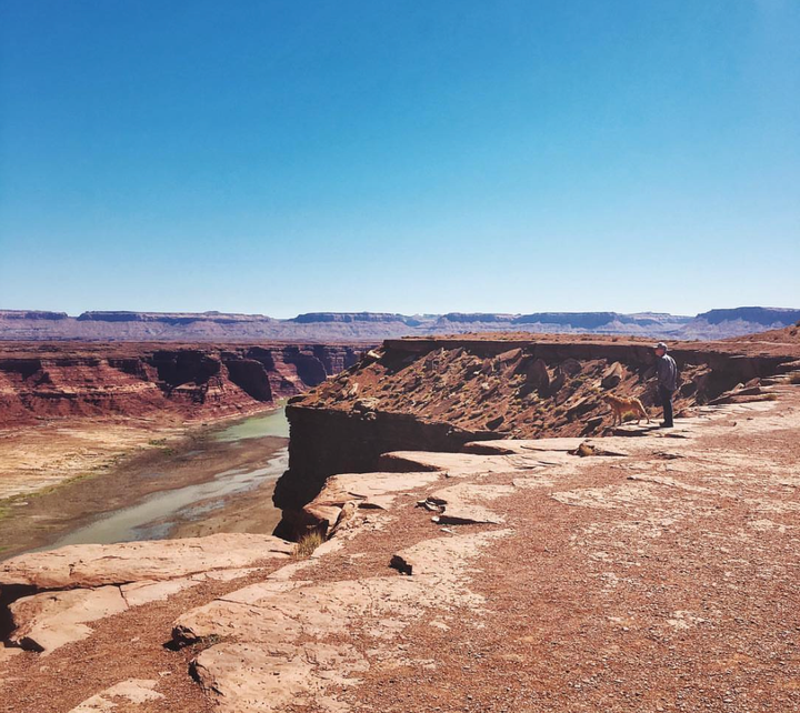 The discerning person’s guide to   plateaus