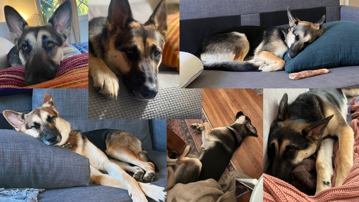 How to successfully navigate our yearly workout flop era