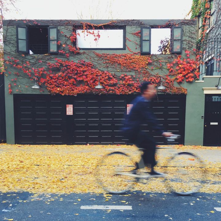 Guy on a bike passing a building facade in Brooklyn with lots of fall leaves