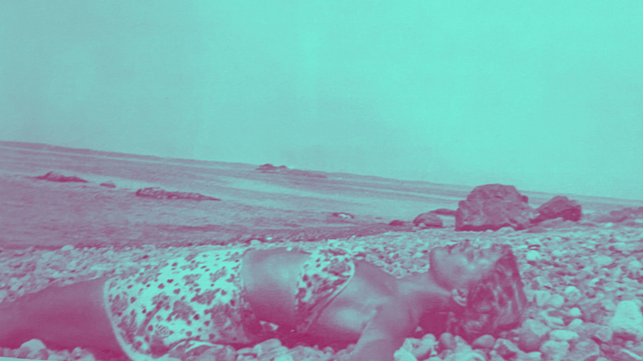 The physical education of Sylvia Plath