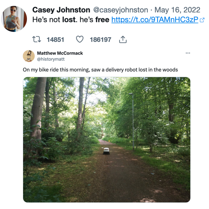 not all those who wander are lost🏂