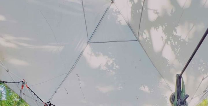 The art, science, theory, and practice of perceiving yourself