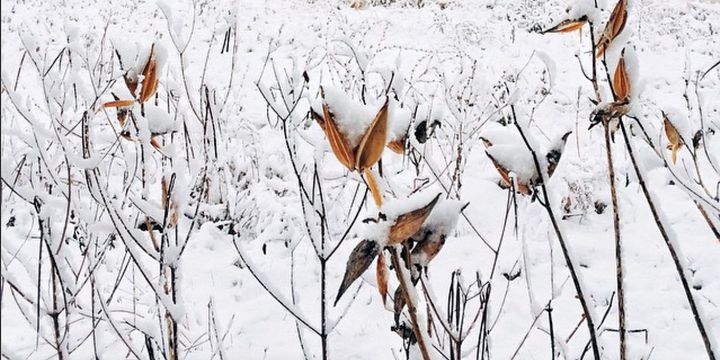 The beauty of periodization