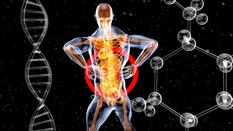 graphic of a human body suffering some sort of midsection distress