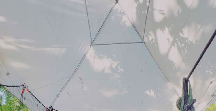 The art, science, theory, and practice of perceiving yourself