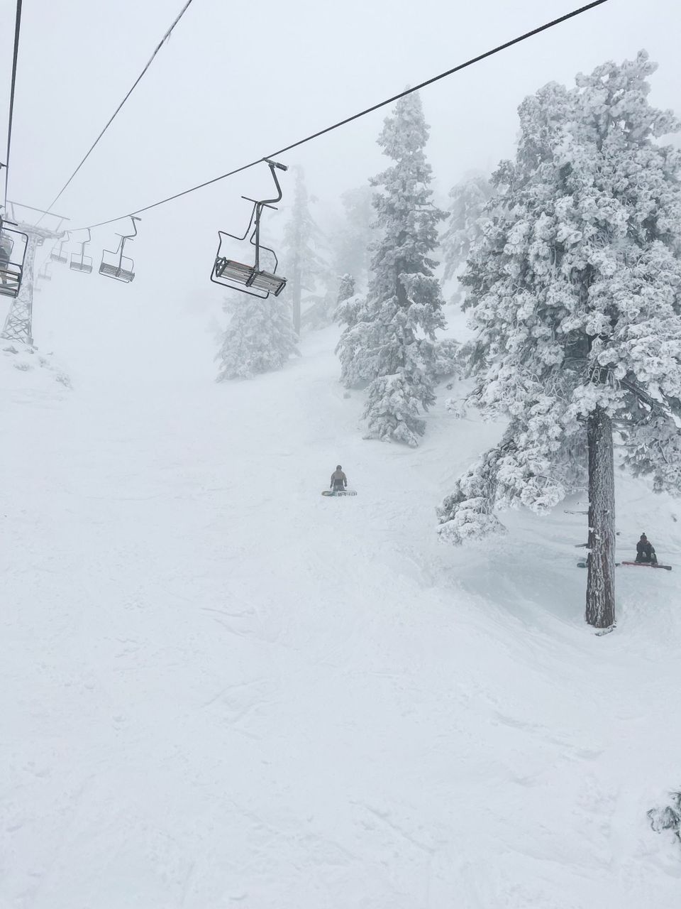 The good powder (snow) the bad powder (erythritol) and the ugly powder (kratom)
