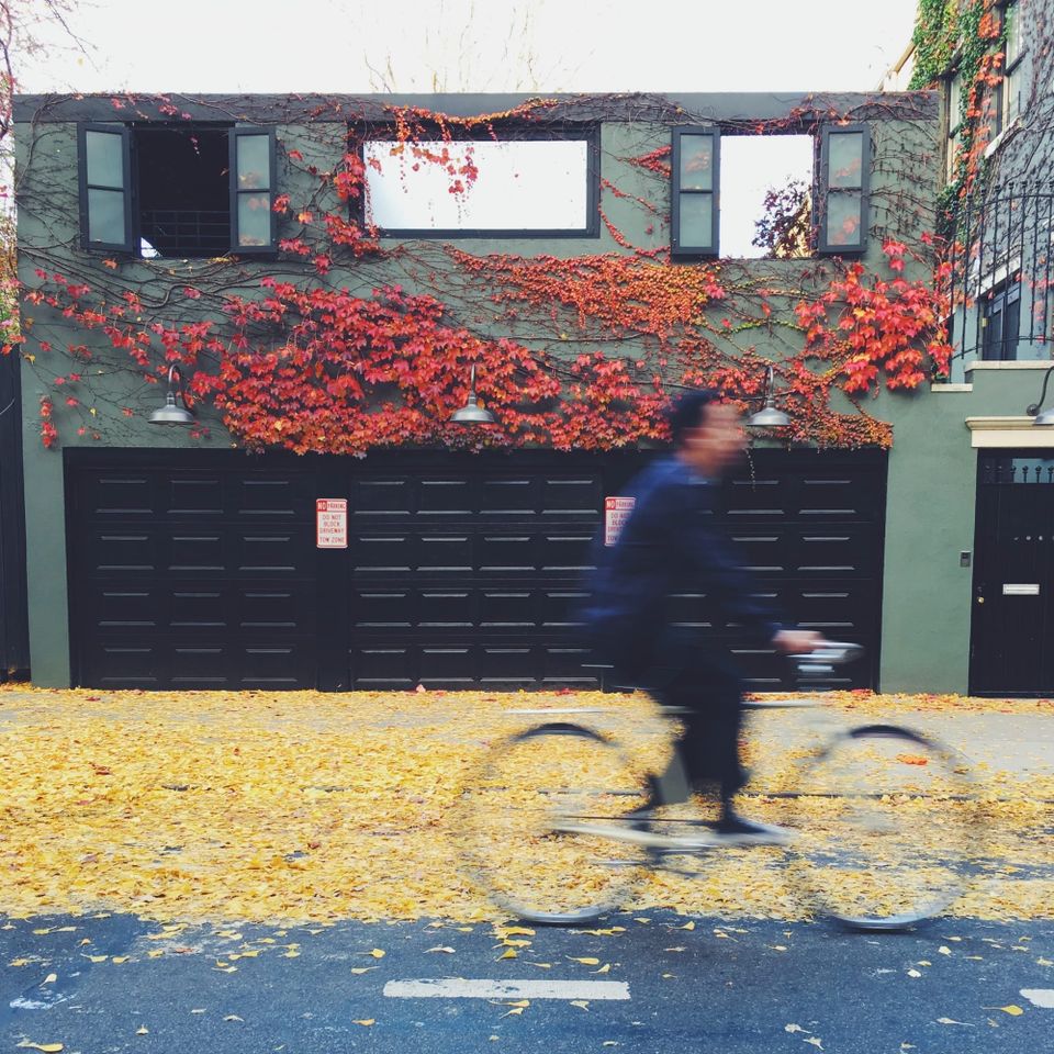 Guy on a bike passing a building facade in Brooklyn with lots of fall leaves