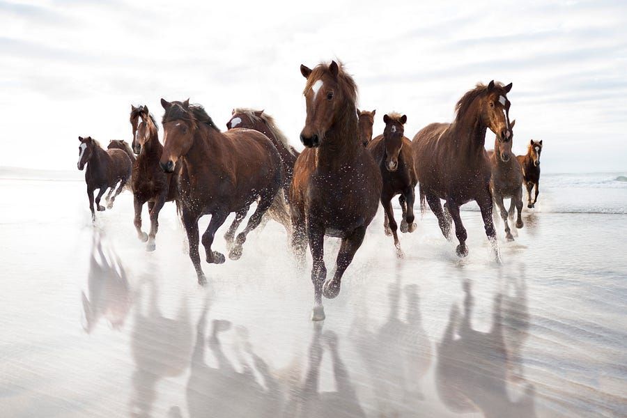 How to eat like a big beautiful horse