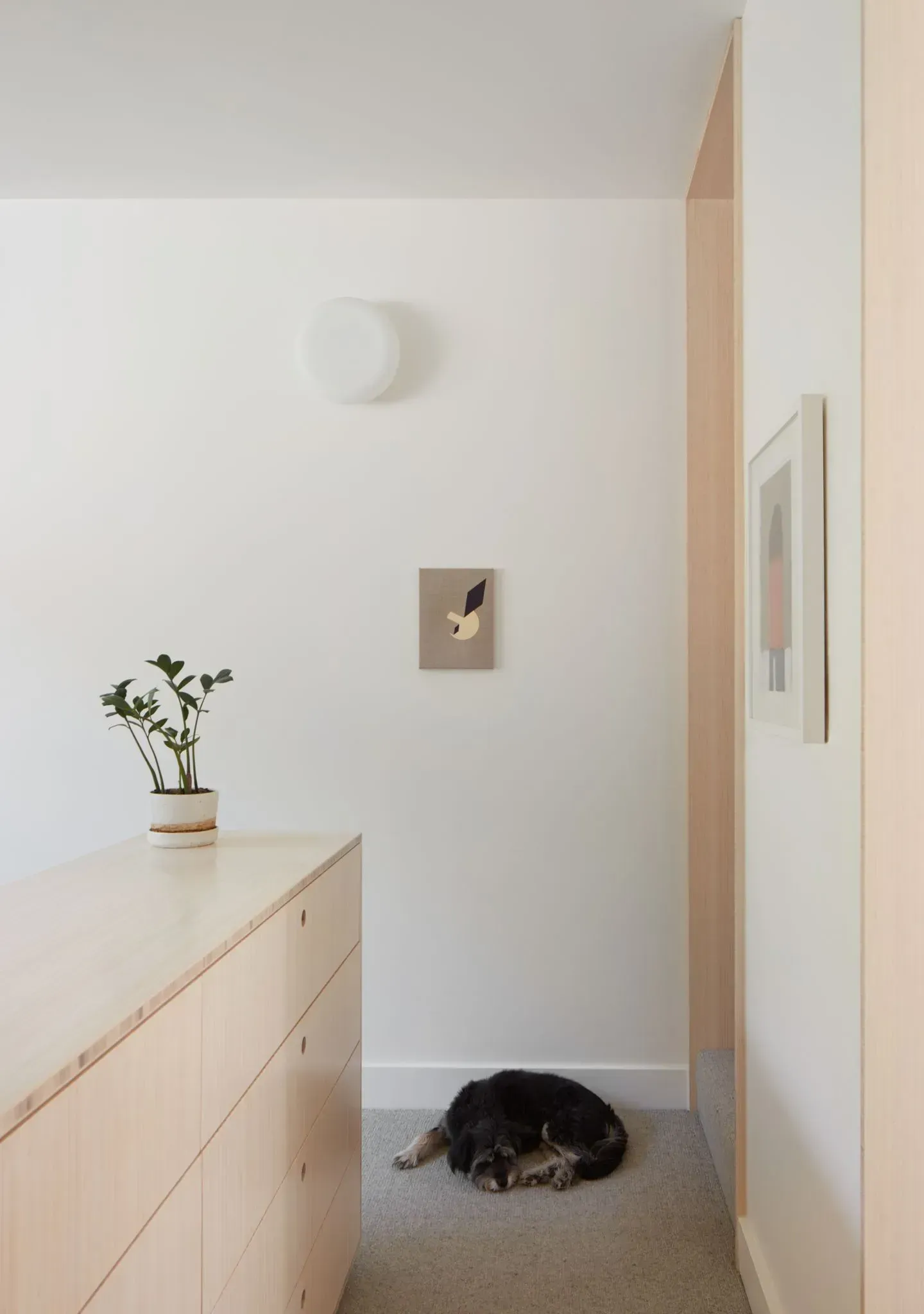 Haines Street by Foomann Architects