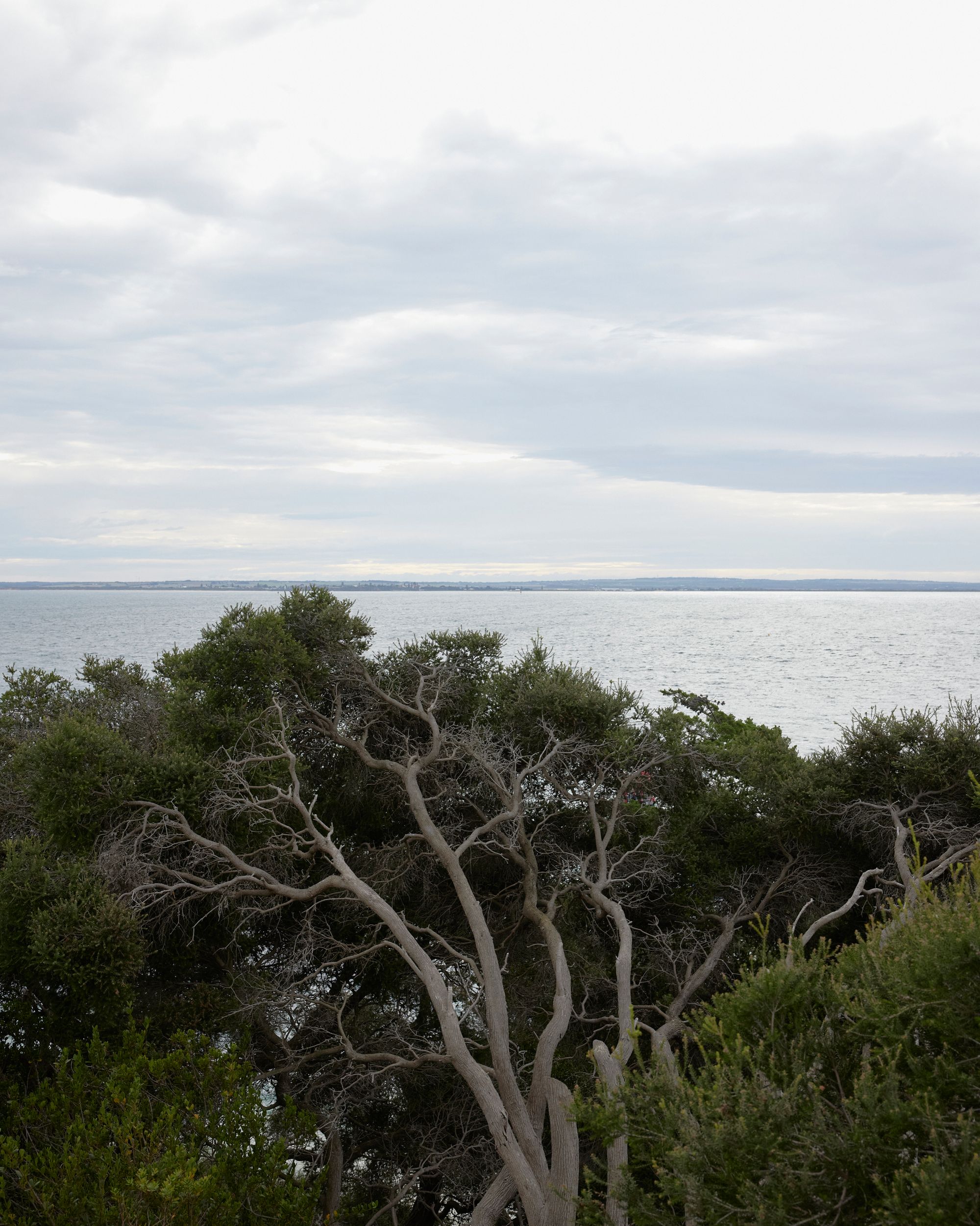Portsea Surf Shack by Blair Smith Architecture. Detailed view from suf shack out to Mornington Penisula.
