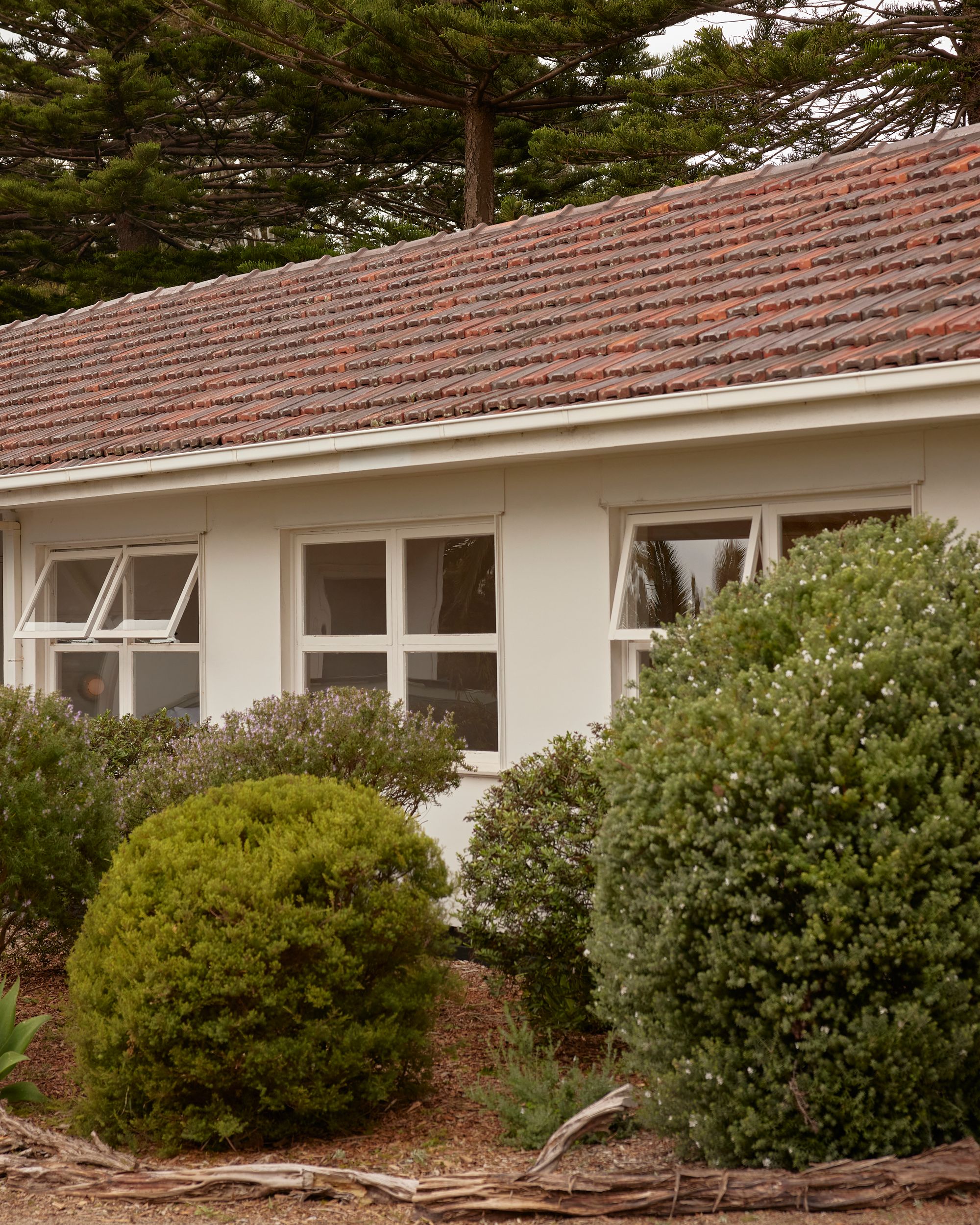 Portsea Surf Shack by Blair Smith Architecture. Façade view, featuring local flora and fauna. 