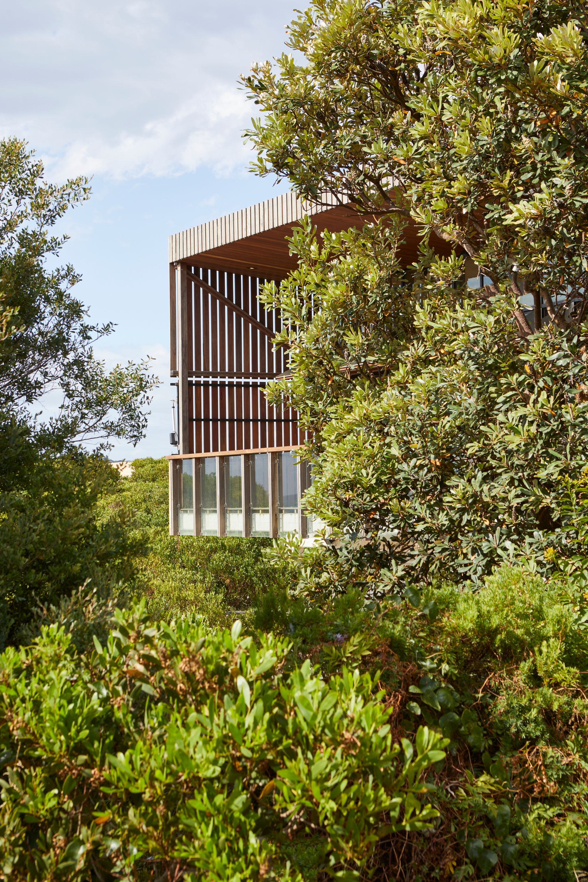 Long Reef SLSC by Adriano Pupilli Architects showing building in its environment