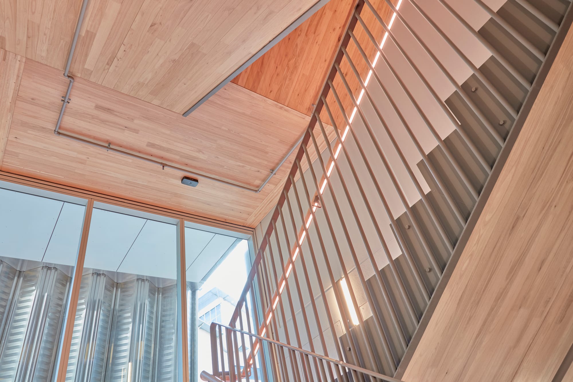 Tasmanian Timber: River's Edge. Photography: Dave Groves.