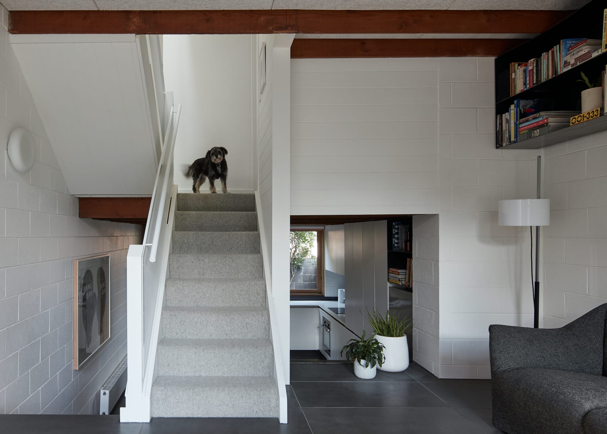 Haines Street by Foomann Architects showing interior shot of split level home