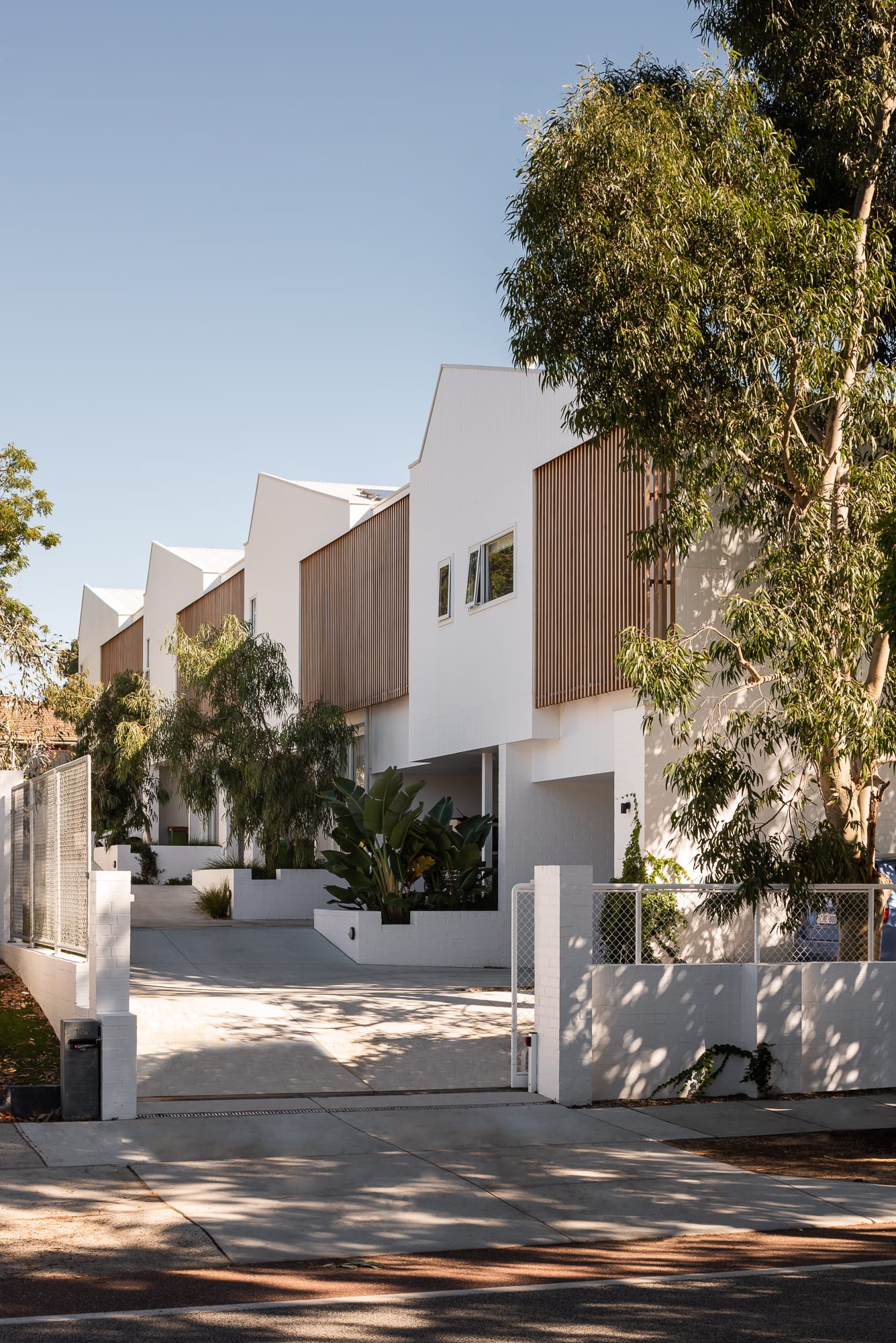 Carrington Street Terraces by MDC Architects.This image presents a view of a row of modern terraced houses with a distinctive architectural style. The buildings feature crisp white facades with vertical wooden slat detailing that adds texture and contrast. Each house has a pointed roof shape, creating an interesting skyline. The front of the homes is landscaped with well-maintained garden beds that include large, broad-leafed plants, adding a touch of greenery against the white walls. A mature tree on the left adds a natural element to the urban environment. The scene is well-lit with natural sunlight, casting soft shadows on the driveway and white boundary fence, which provides privacy while complementing the modern aesthetic of the houses.
