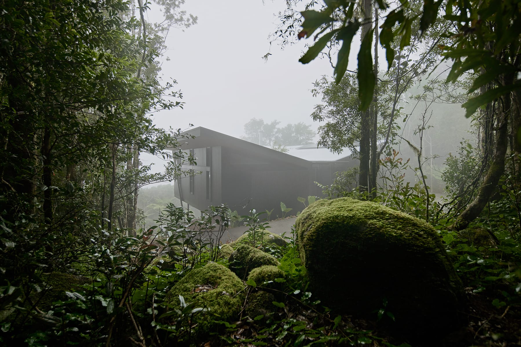 Cloudview Springbrook by Paul Uhlmann Architects. Photography by Brock Beazley. Exterior image of side of contemporary residential structure with sloping roof. Rainforest plants visible in foreground and background of image. Foggy.