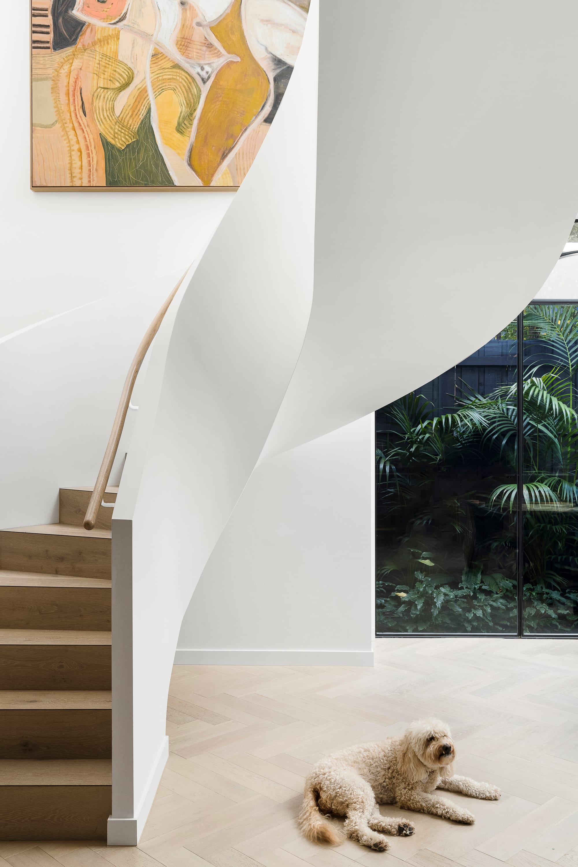 Goldsmith Residence by C.Kairouz Architects. Photography by Spacecraft. Curved white staircase with timber steps and handrail. Dog lays on pale timber herringbone floors. Black framed windows overlook greenery. White walls. 