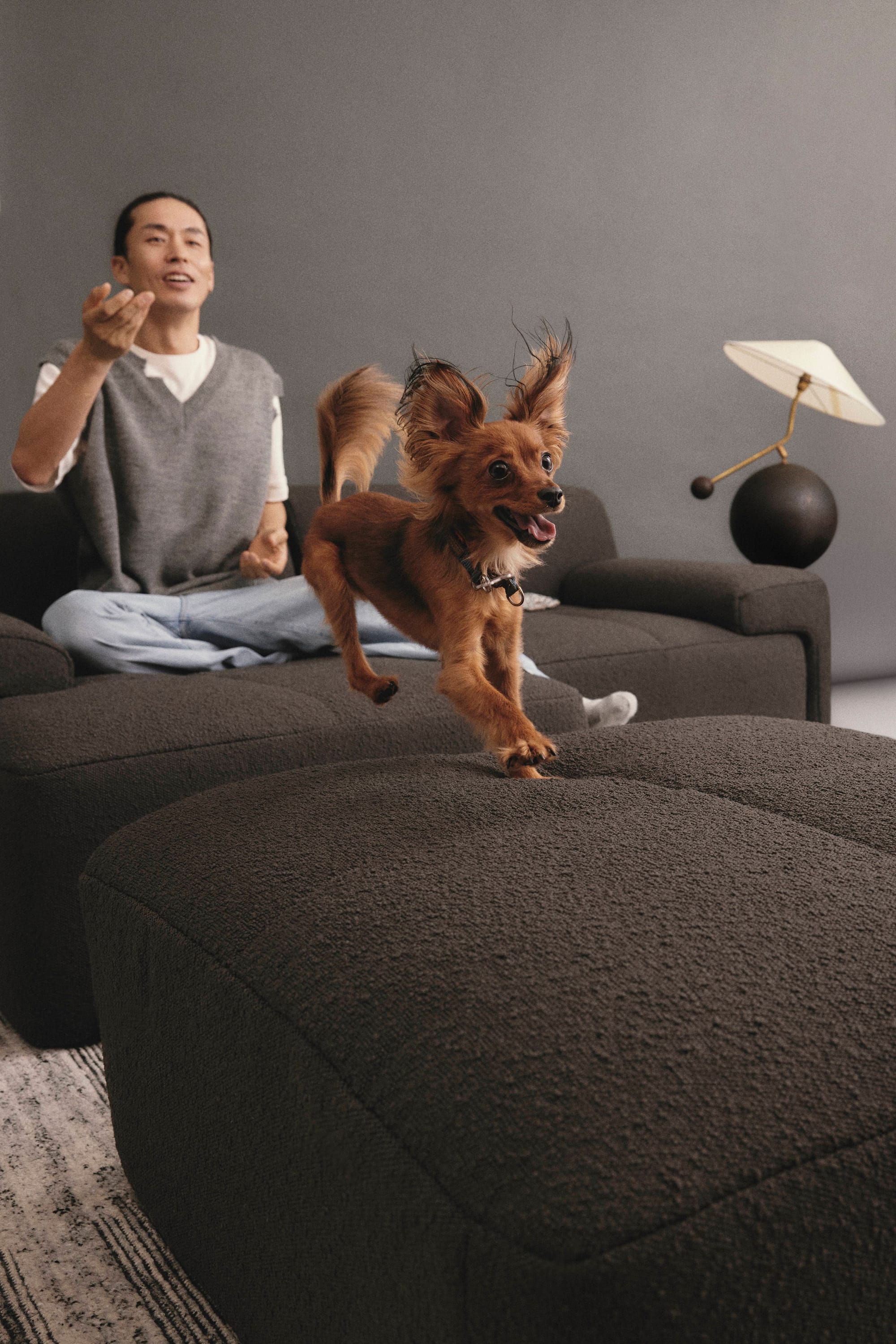 Eva Everyday Sofa. Copyright of Eva. Dog playing fetch, running across graphite boucle modular sofa. Man sitting cross legged in background. 