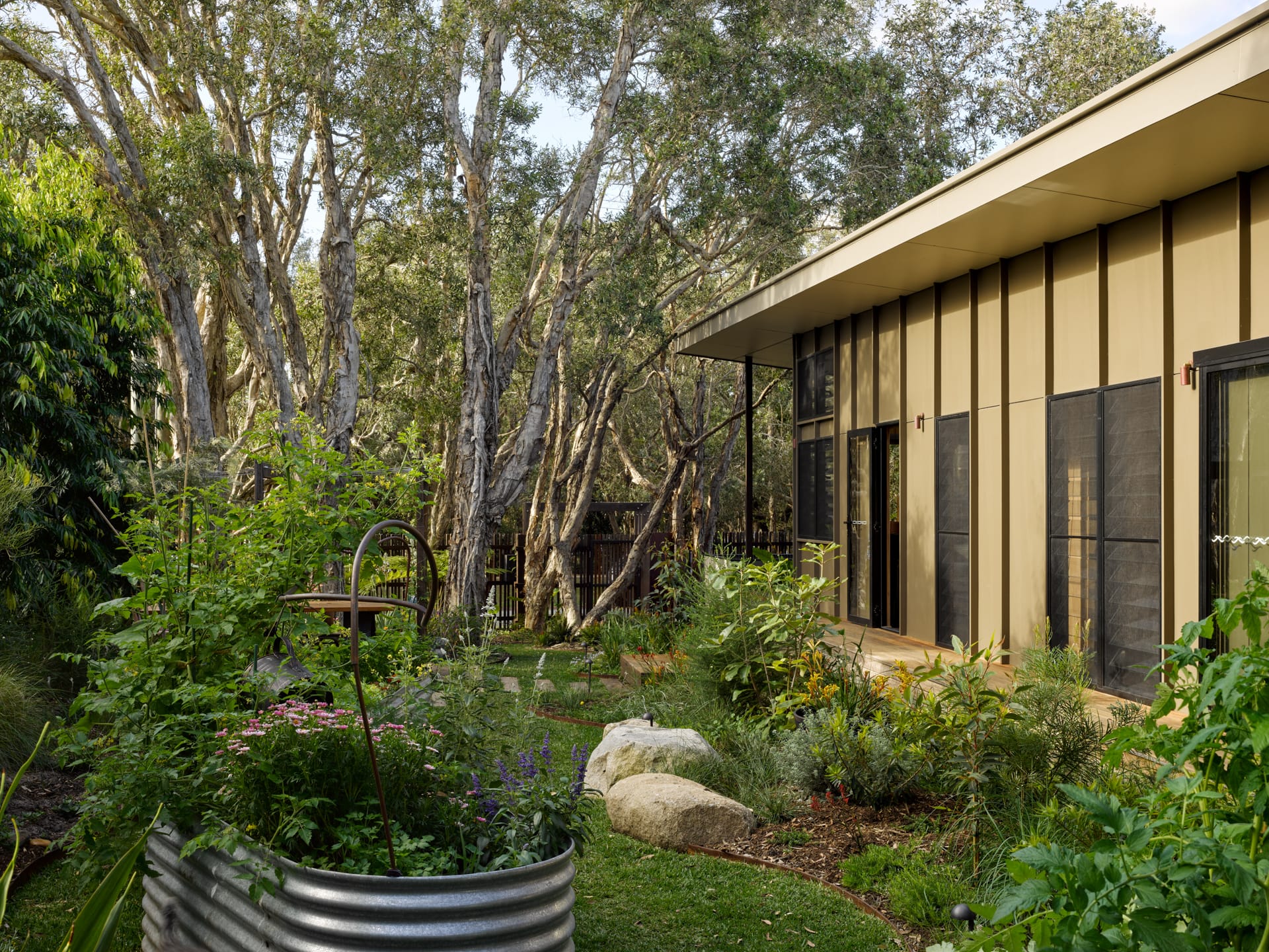 PaperBark Pod by Bark Design. Photography by Christopher Frederick Jones. Garden and side facade of fibre cement clad home. Organic garden beds carved into green grass. Elevated metal garden beds. 