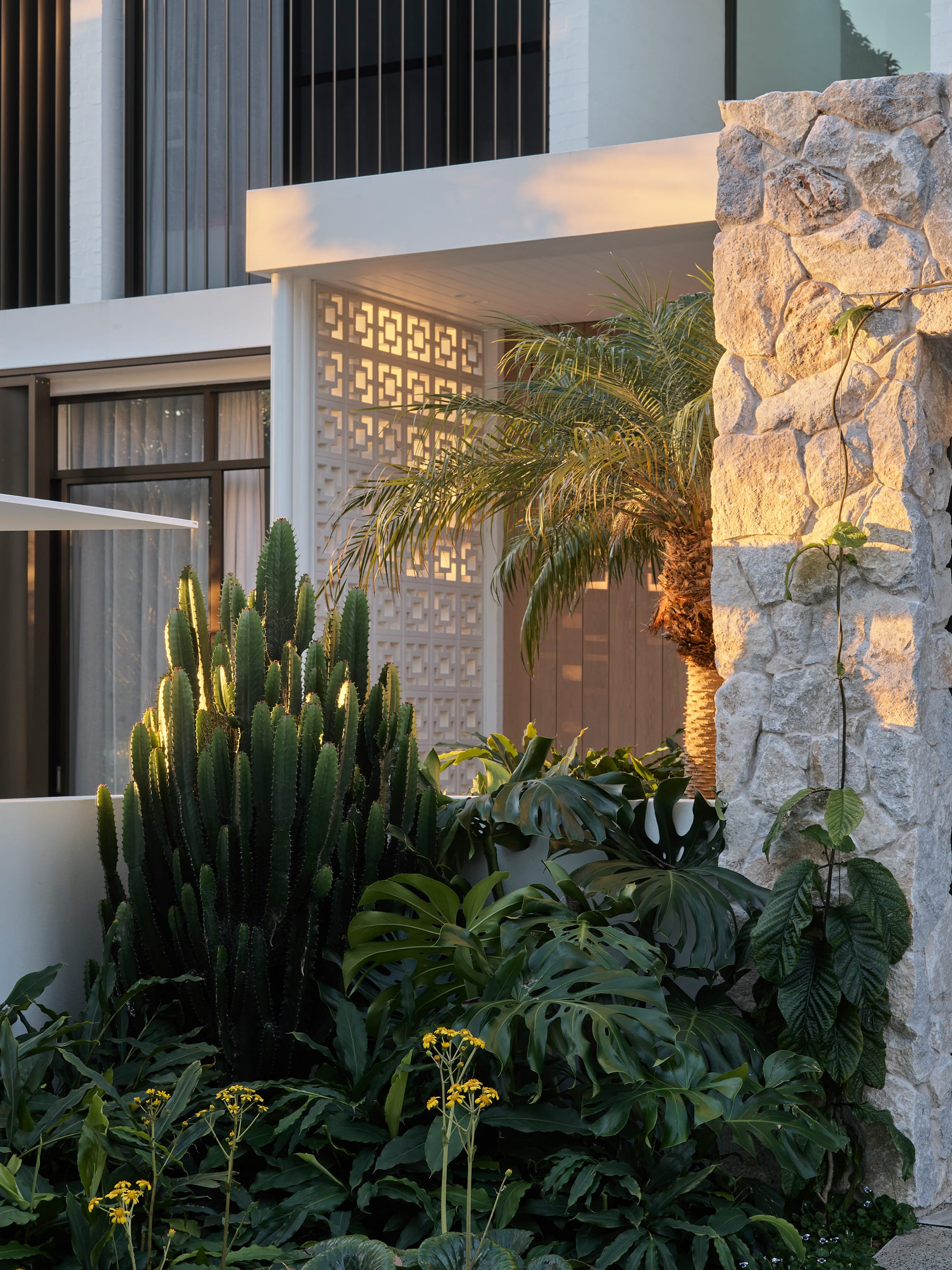 Warren House by CM Studio. Photography by Nic Gossage. Garden bed with cactus and monstera next to stone wall.
