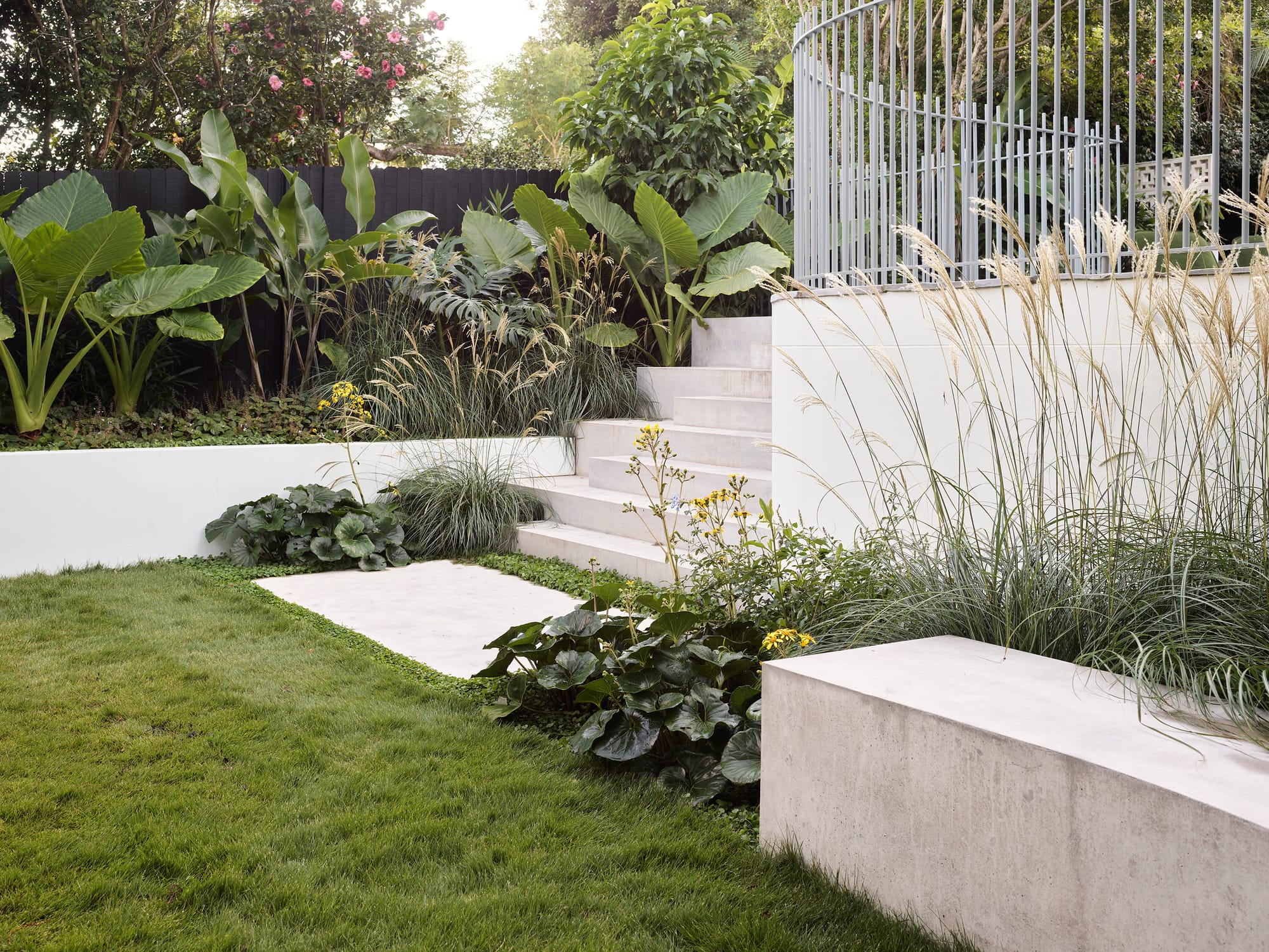Warren House by CM Studio. Photography by Nic Gossage. Multilevel backyard with white steps, retaining walls, fence and bench. Garden beds.