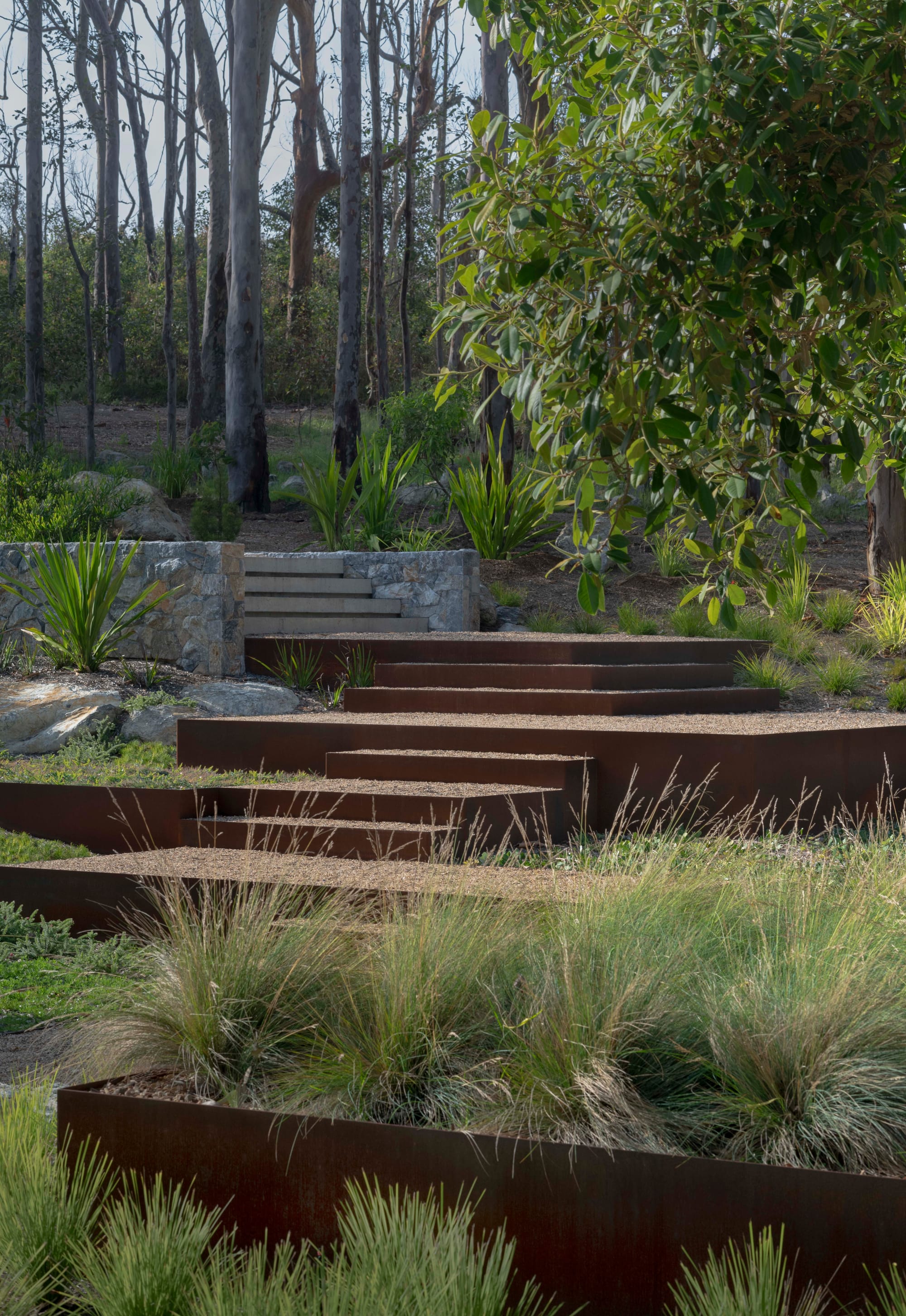 Bracken by Secret Gardens. Photography by Nicholas Watt. Series of low steps made from rusted metal and concrete leading to bushland with gum trees. 