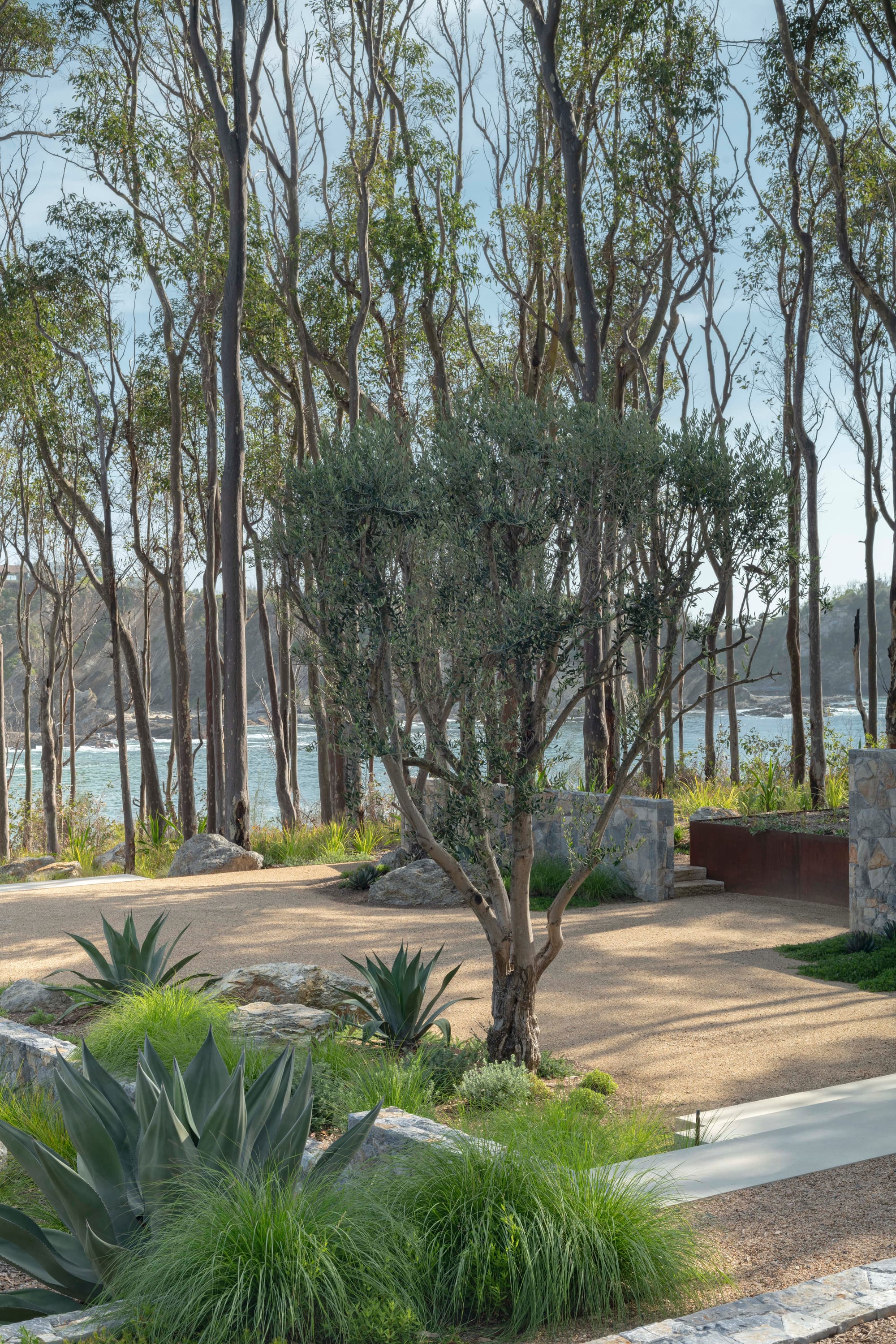 Bracken by Secret Gardens. Photography by Nicholas Watt. Crushed rock courtyard with stone dividing walls and law concrete steps. Native Australian plants.