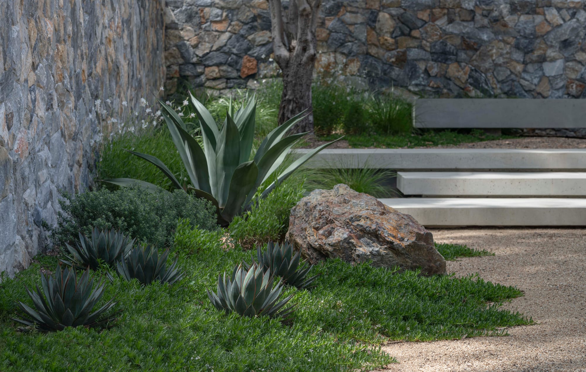 Bracken by Secret Gardens. Photography by Nicholas Watt. Low-lying plants and rocks growing over crushed stone footpath. Concrete steps in background.