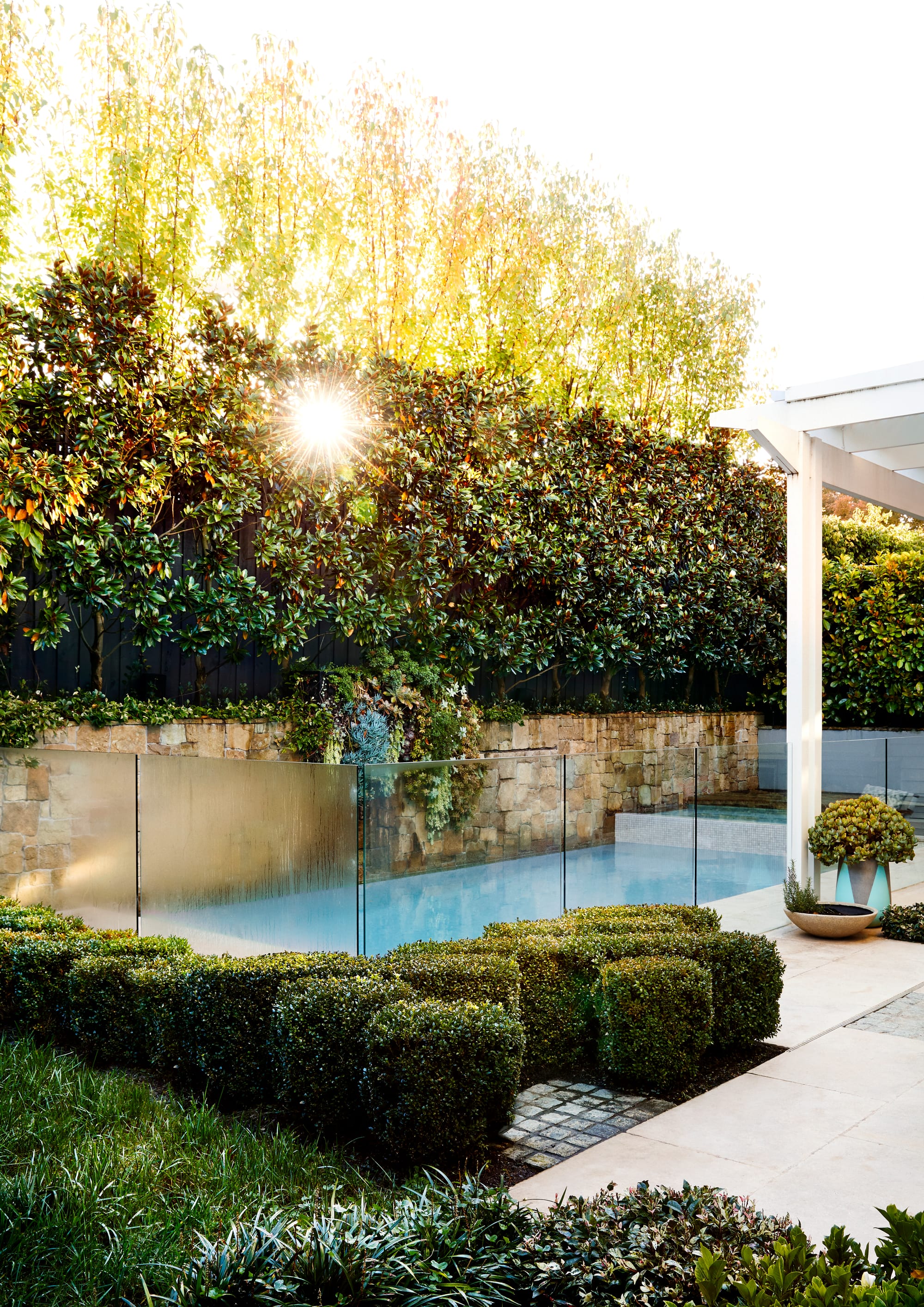 Julie Crowe Landscape Design. Photography by Caitlin Mills Photography. Pool surrounded by glass fence and stone wall. Tall hedge grows above stone wall and in front of glass fence. Sun cutting through hedges. 