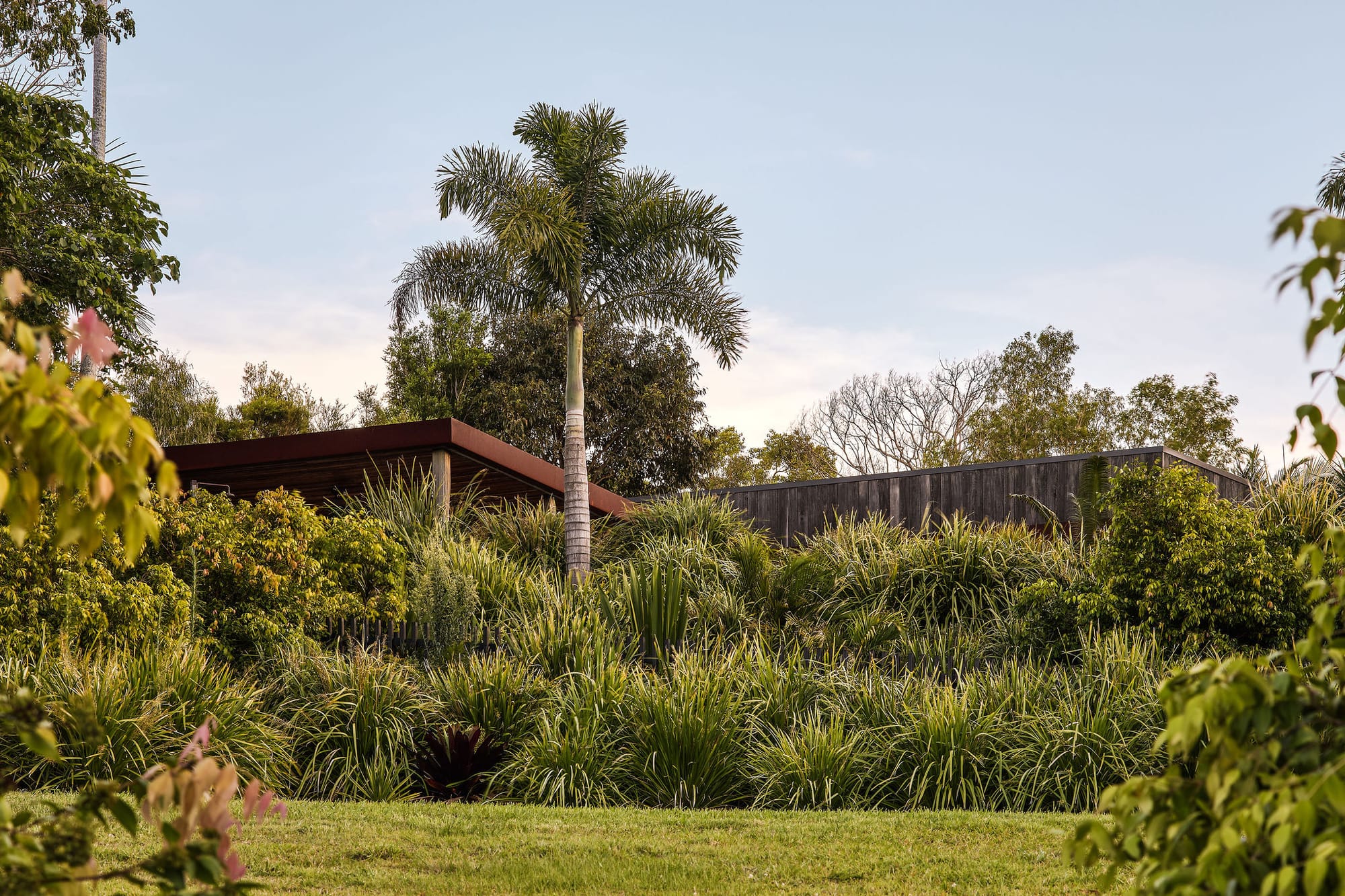 Rockpool Farm Byron Bay. Photography by Andy Macpherson. Wild and lush green gardens. Roof of a building visible behind plants.