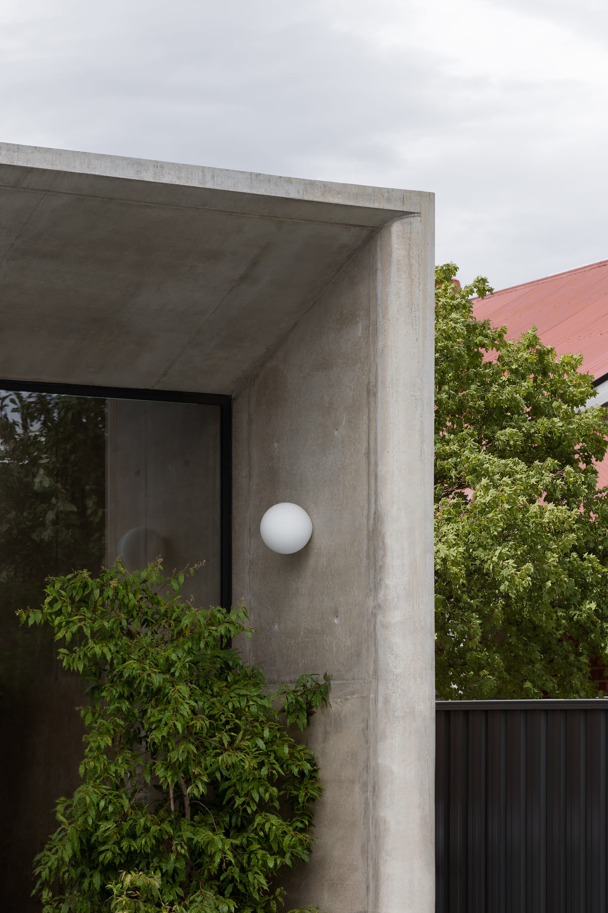 Rose Park by studio gram. Photography by Timothy Ross. Close up of concrete exterior walls. Circular sconce light on wall and plant growing into corner. 