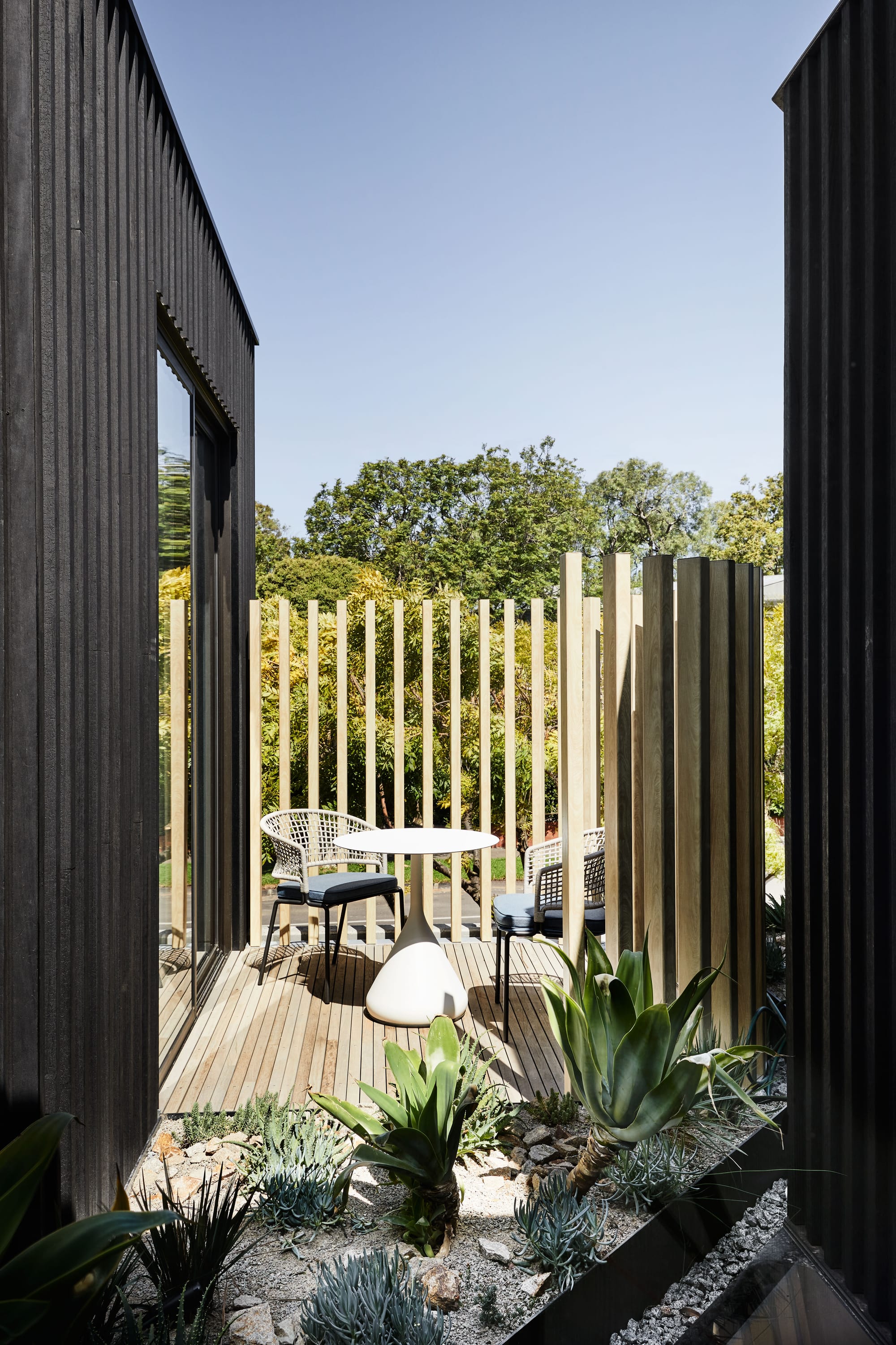 The Split Home by Seidler Group. Copyright of Seidler Group. Small timber courtyard overlooking street and garden below. Succulent garden around courtyard. 