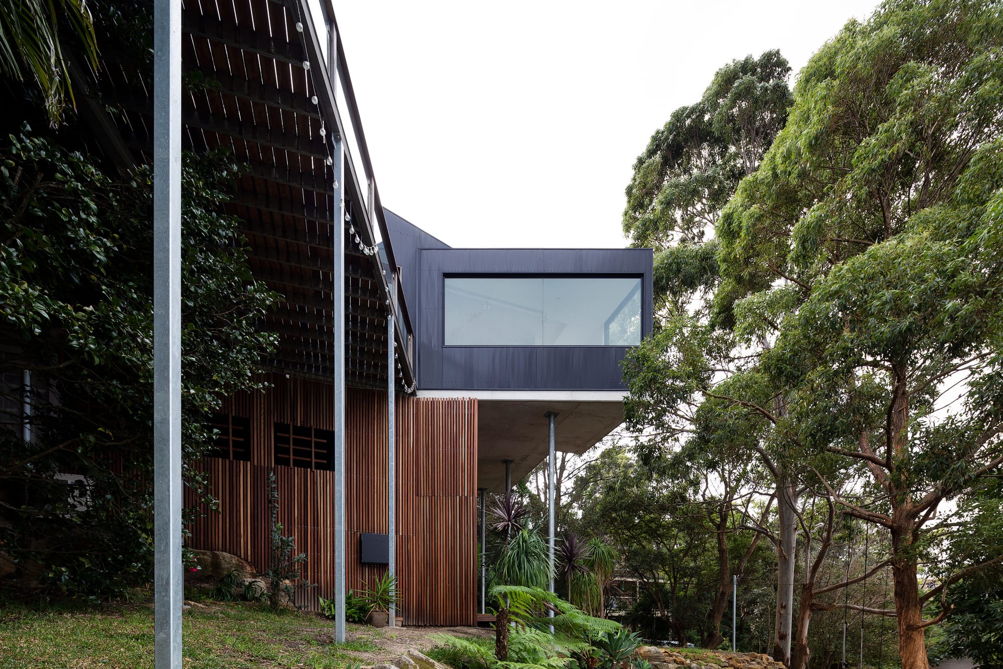 Tree House by North By North. Photography by Simon Whitbread. Double storey timber clad home on stilts. Raw timber clad on ground floor. Black timber clad second floor with large window. 