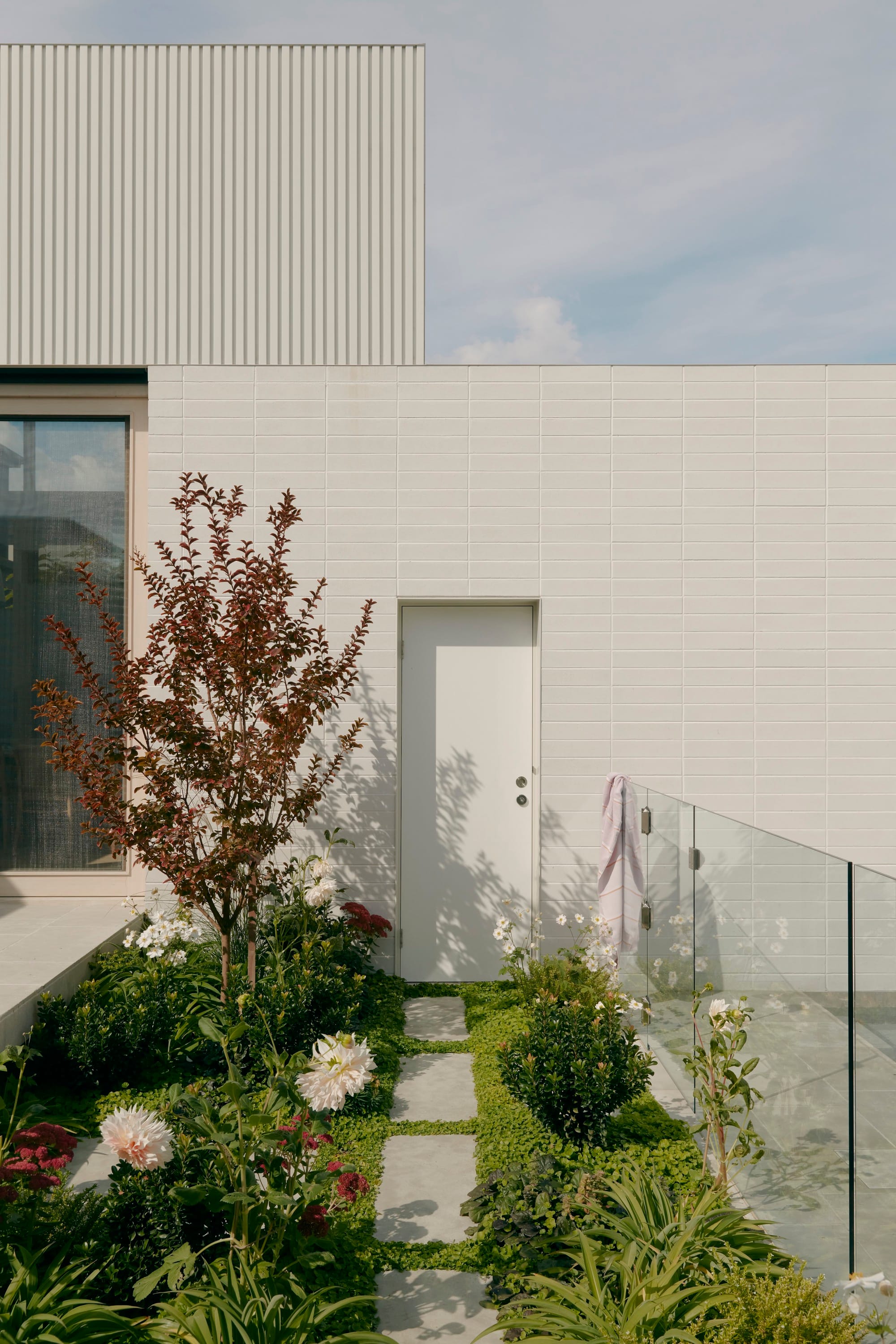 Wheatland House by Tom Roberston Architects. Photography by Tom Ross. Lush garden with green plants and flowers with pavers leaving to white door. White brick wall and glass fence. 