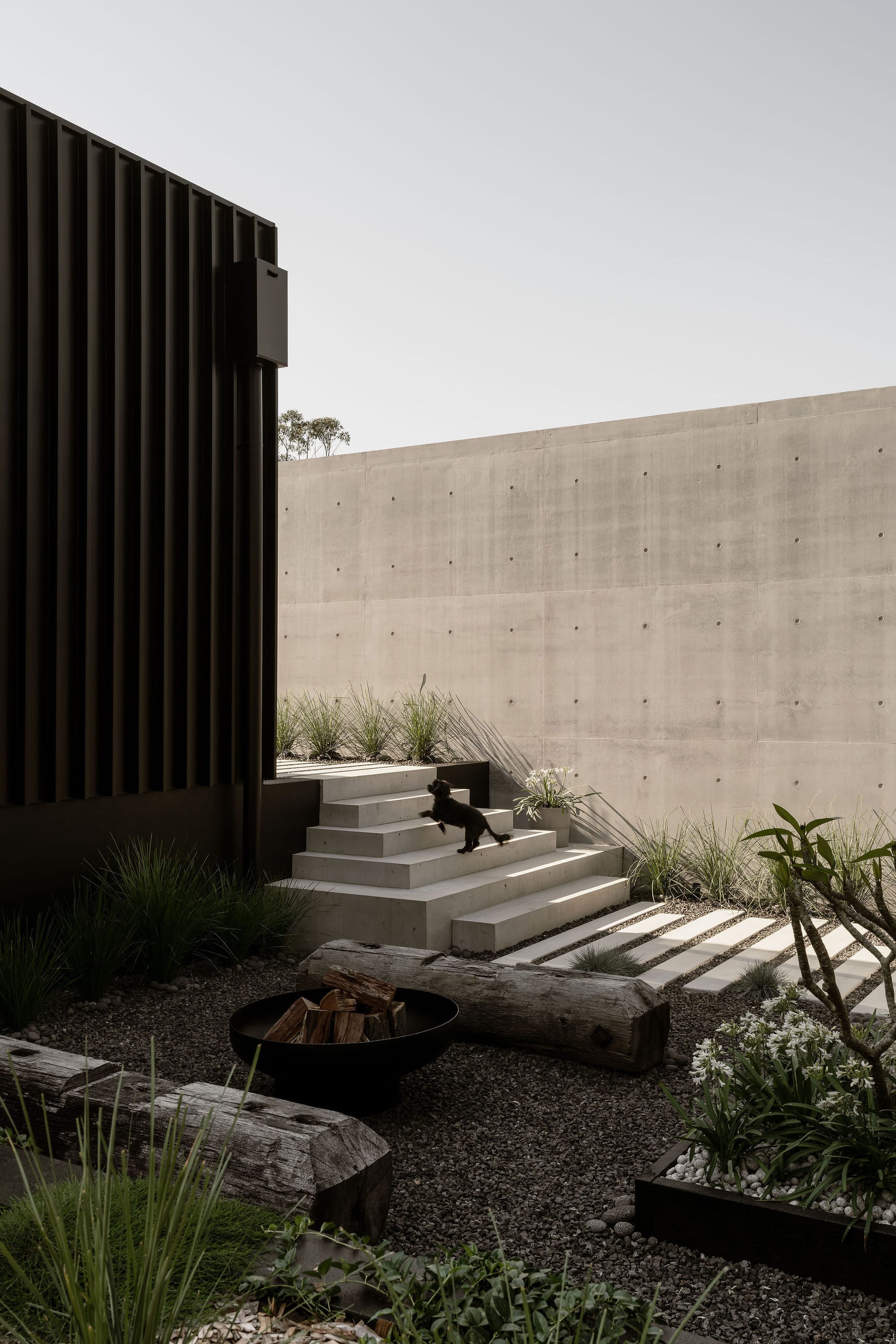 Blackwood by Sarah Waller Architecture. Photography by Alyne Media. Concrete raised pool with concrete day beds and lowered fire pit. Pavilion home in background. Lush tropical trees. 