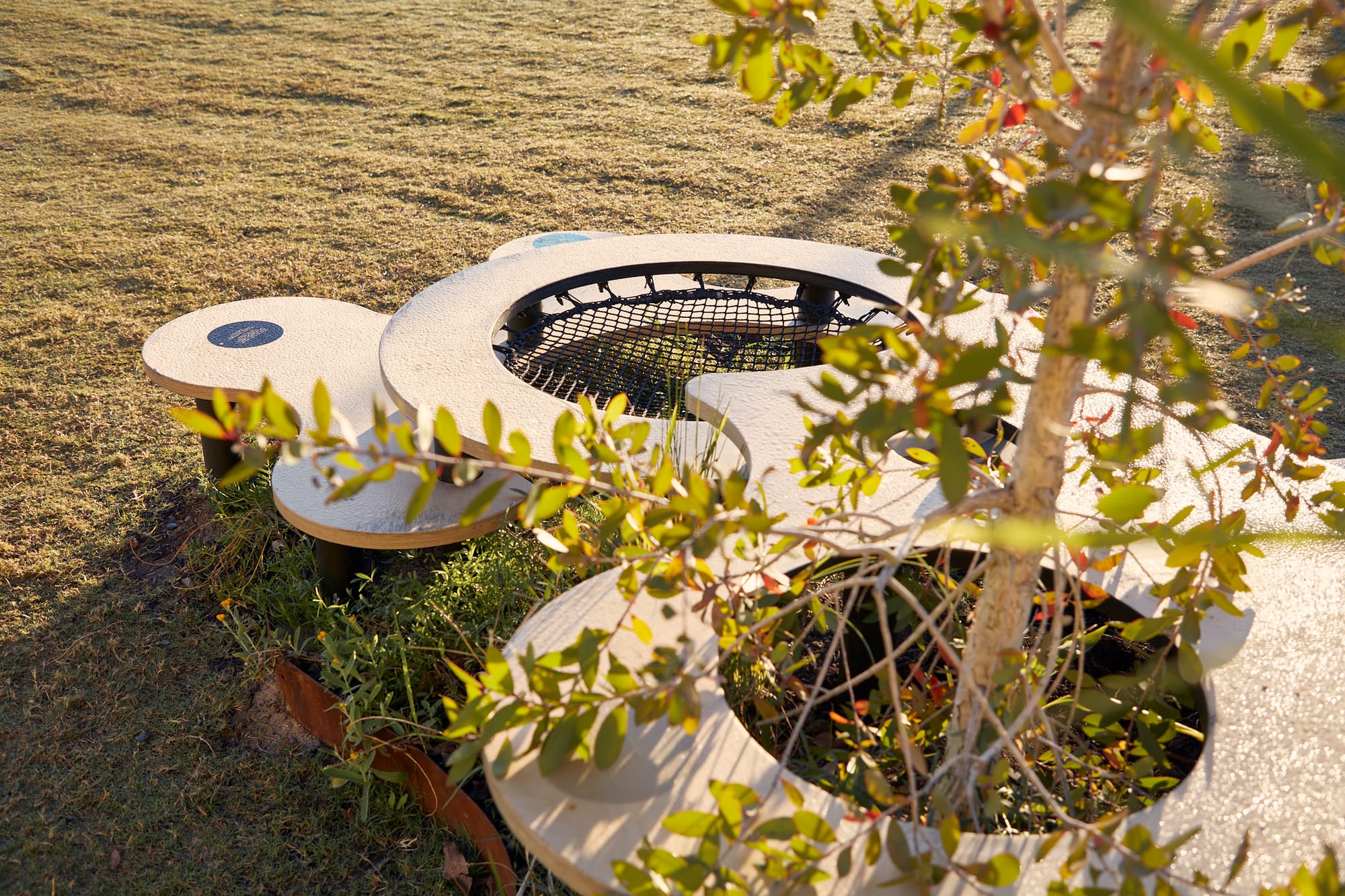 Lost Typography by North of the Gum and Jil Studio. Urban seating furniture in organic and round shapes around a tree.