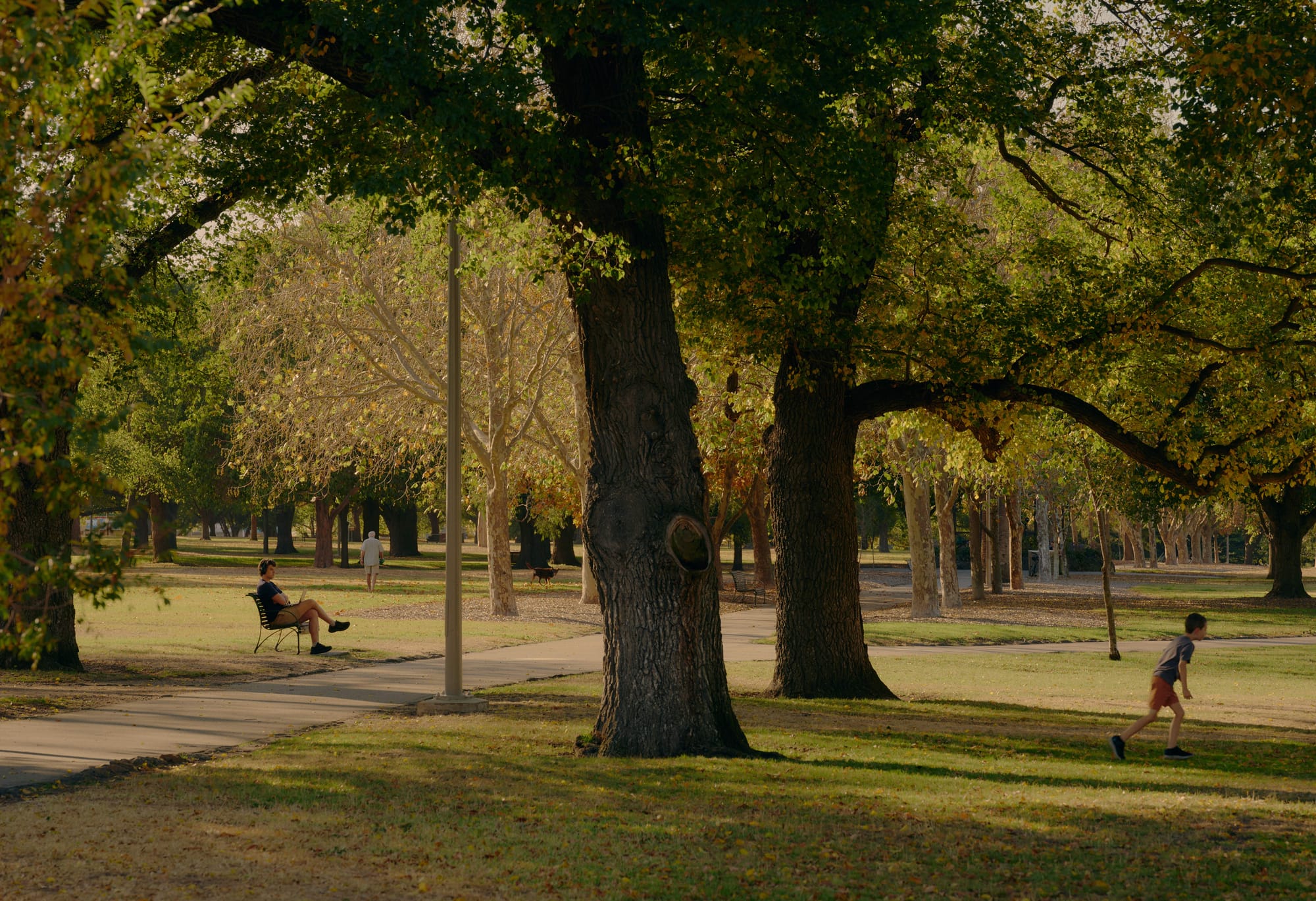 A shot of a Clifton Hill parkland with a boy playing and a man sitting on a bench under the trees.